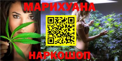 МДПВ Бийск