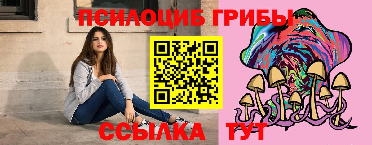 Знаменск  Галлюциногенные грибы MAGIC MUSHROOMS  Вход с VPN 