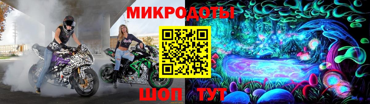 Псилоцибиновые грибы Cubensis Знаменск